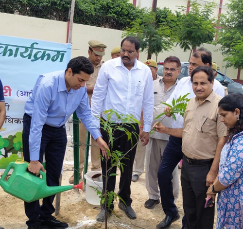 Plantation for a Greener Nation